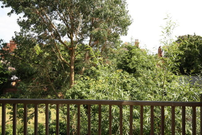 View from Balcony