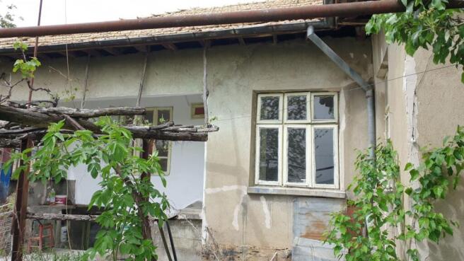 Exterior wall of the house with multiple windows and grapevine trellis above garden area.