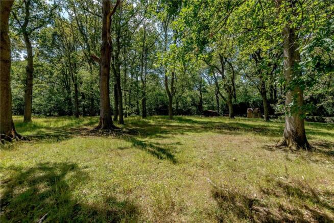 Woodland