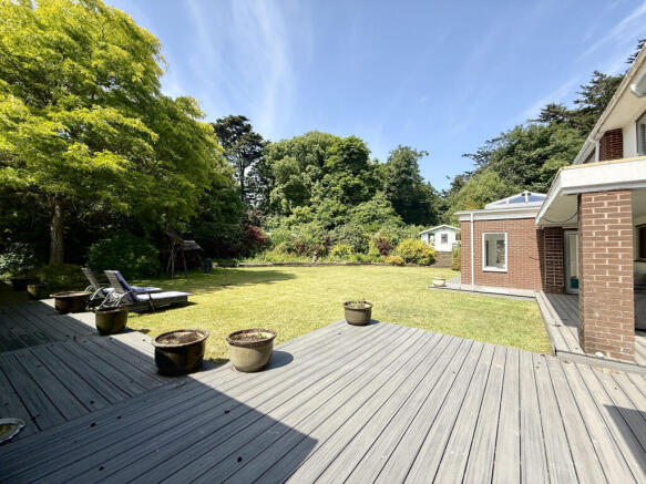 Back Garden