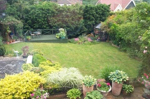View of whole garden