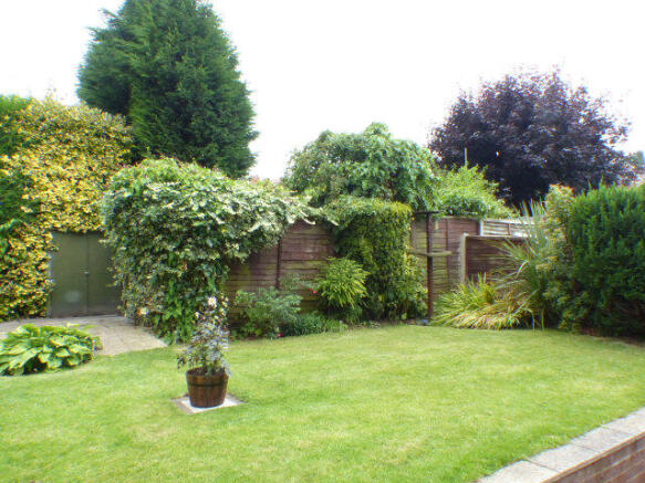 Photo 11