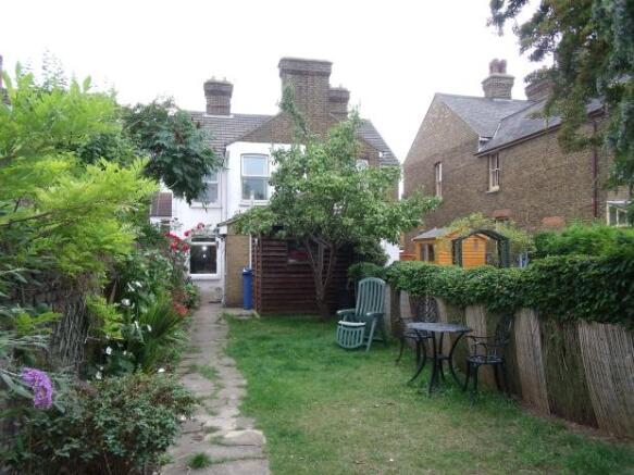 Back garden 2