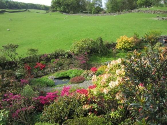 Garden in spring