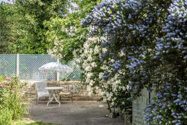 Rear Patio.jpg