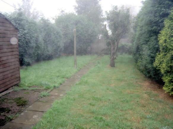 Picture 8