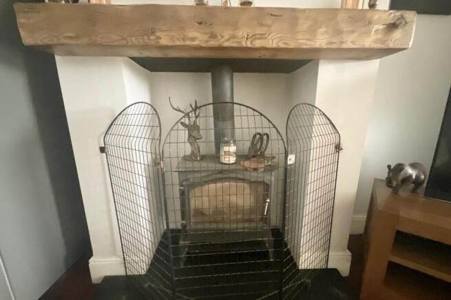 Log Burner 