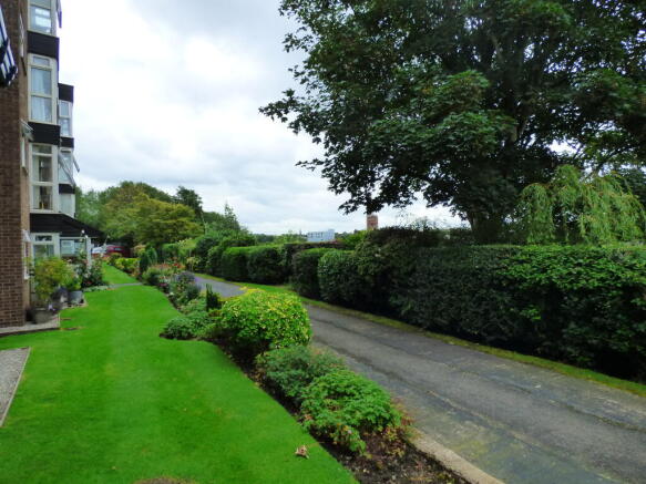 External images2