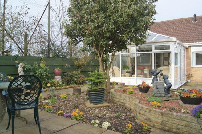 garden pic 3