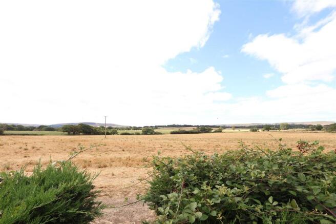 Neighboring farmland