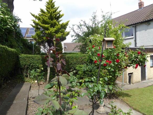 Photo 11