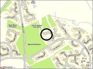 Street Map