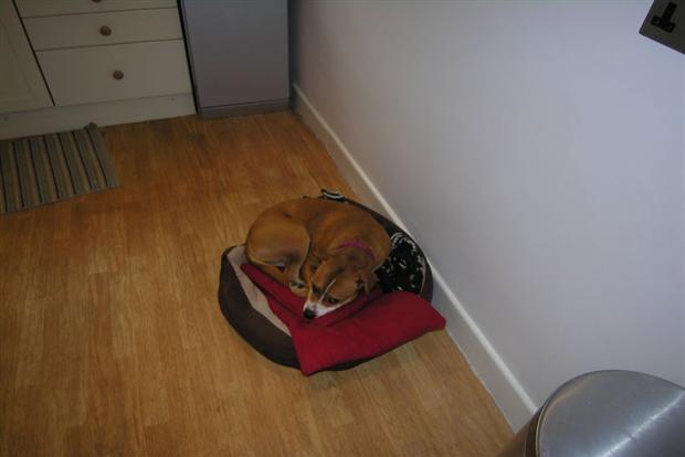 Photo 21