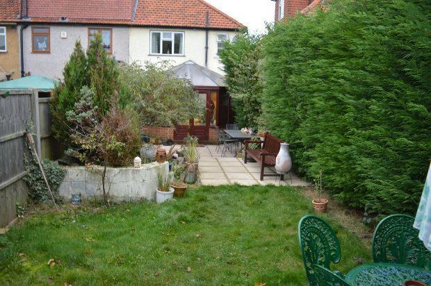 Garden Extra Photo