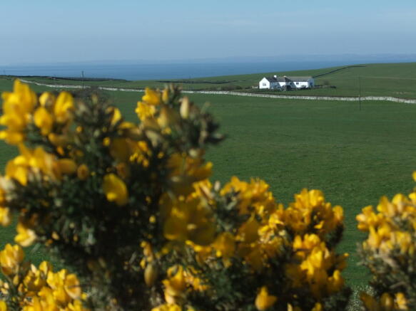 Panoramic View
