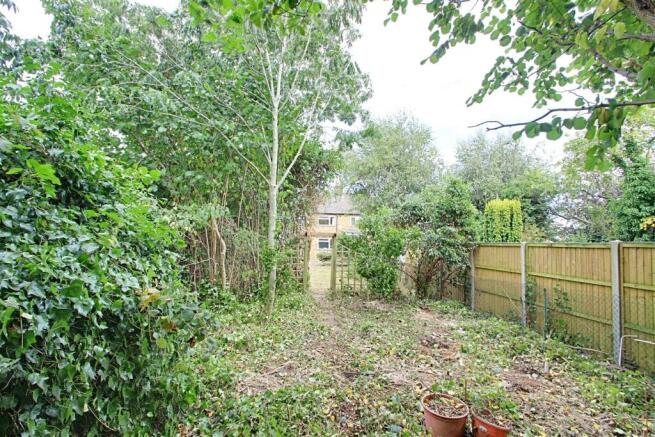 Garden 3.jpg