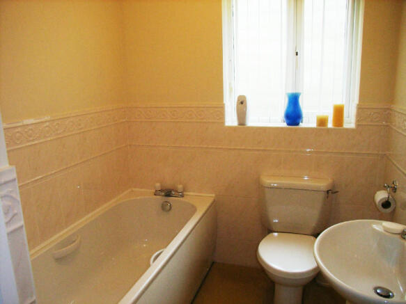 Picture 8
