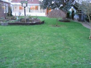 Garden 2