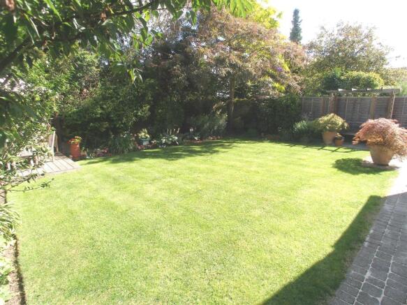 Further Garden Views