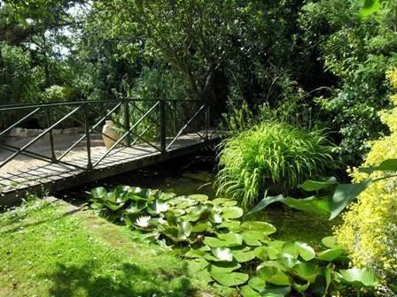 Pond