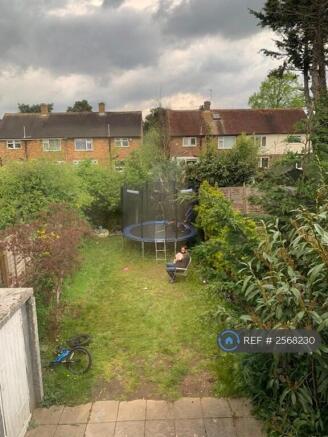 Back Garden