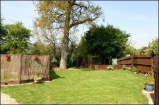 Side Garden
