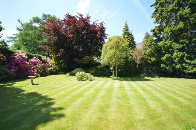 Rear garden