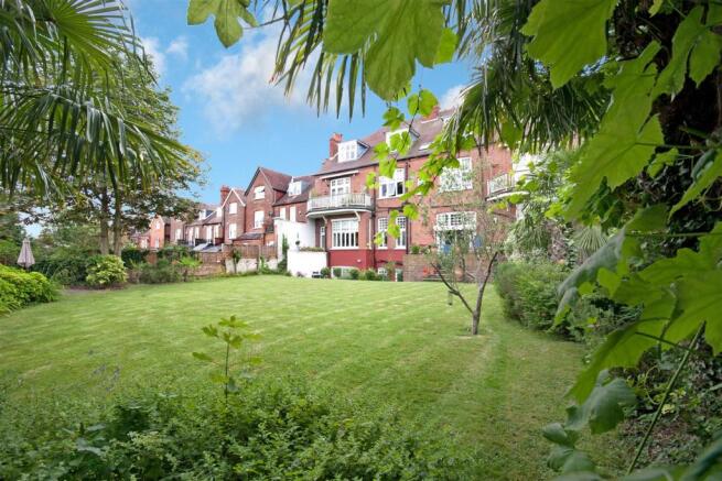 Crediton Hill_garden