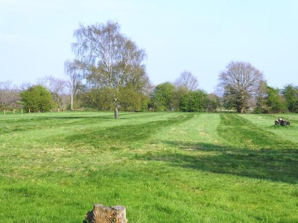 Grounds
