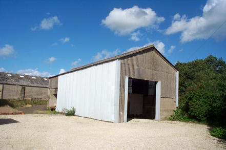 Photo 5