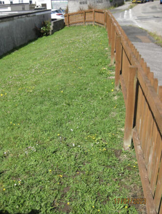 Side Garden
