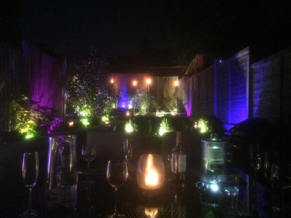 Rear Garden - Illuminations