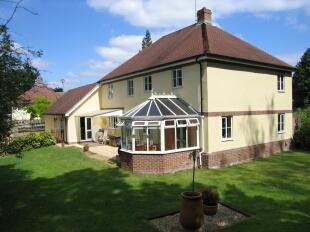 Rear aspect