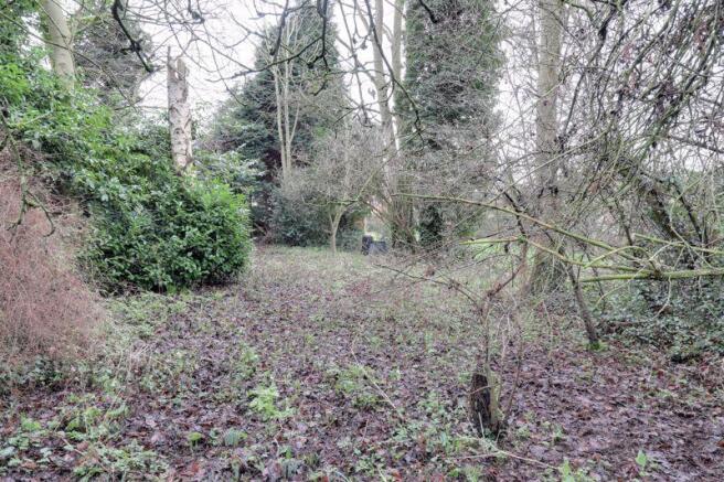 Large Woodland...