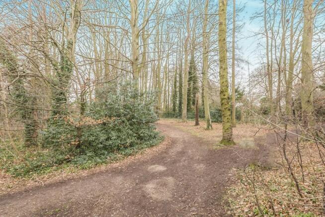 Woodland