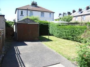 Back Garden