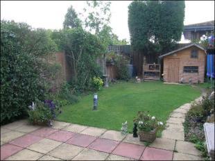 South Facing Garden