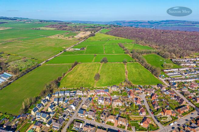 DJI_20260304114846_0860_D copy.jpg