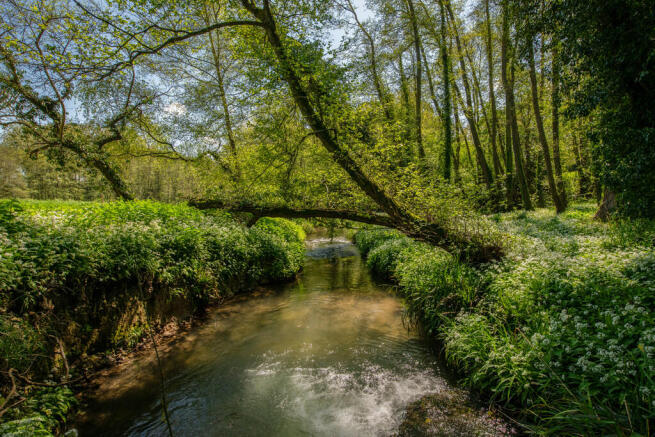 Stream
