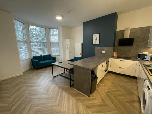 Living / Kitchen Area