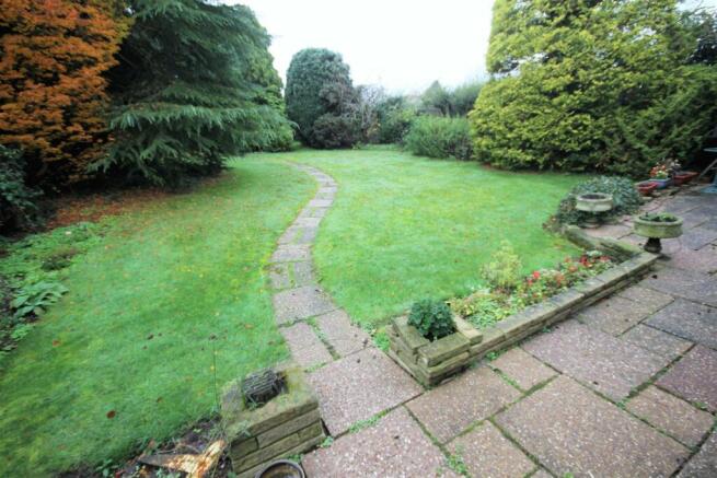 garden 3.jpg