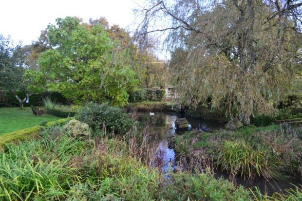 Ornamental Pond