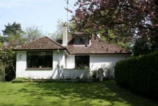 View from Garden