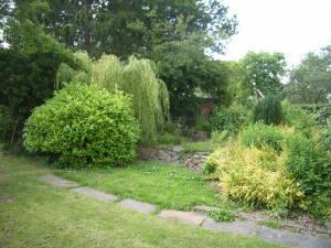Photo 8