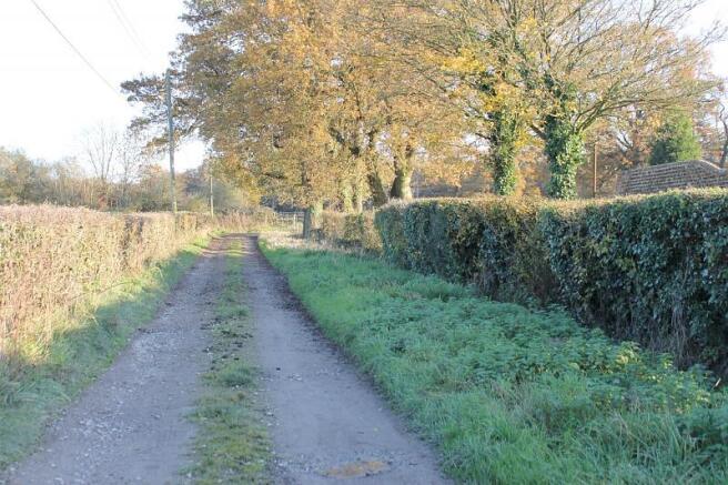 Lane