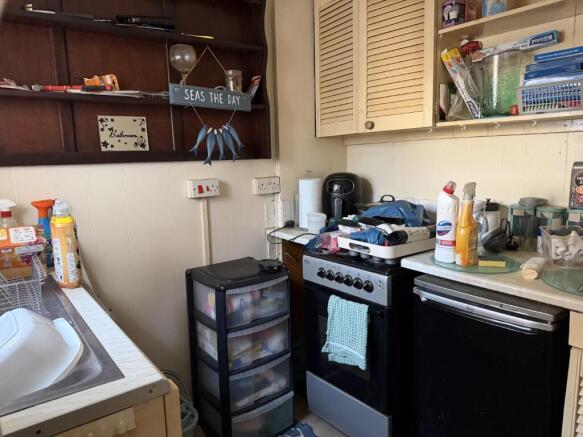 IMG 3576  Medium  T202604101240.jpg