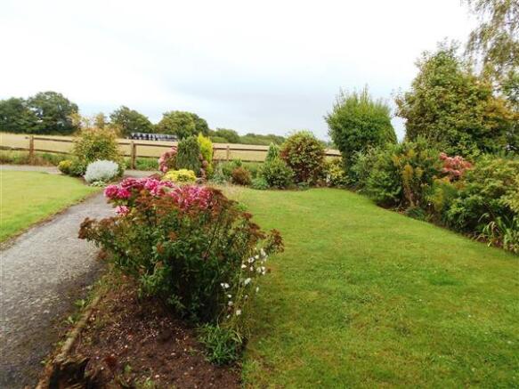 Front Garden