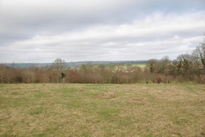 View from Plantation