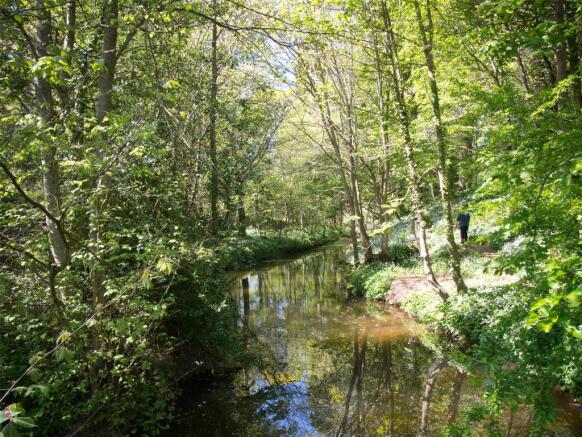 Surrounding Area