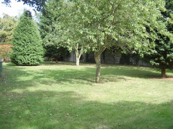 Rear garden